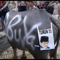 jadi-cawapres-sby-mereka-mengolok-saya