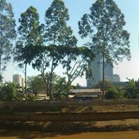 post-image
