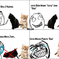 beberapa-meme-kucing-yang-bisa-buat-agan-ngakak