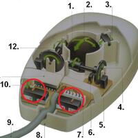 ask-mouse-suka-double-click