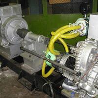 violation-of-natural-laws-d