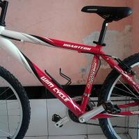 wimcycle-roadtech-roadchamp--diamante-zone