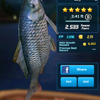 android-ace-fishing--wild-catch---ultimate-3d-fishing-adventure