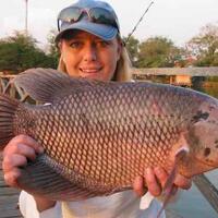 all-about-ikan-konsumsi-air-tawar-ask-learn--share