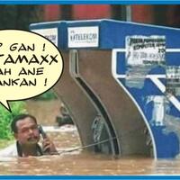 petai--si-bau-yang-banyak-nutrisi-dan-manfaat