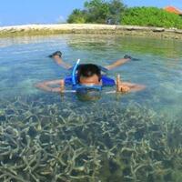 riau-kembangkan-wisata-bahari