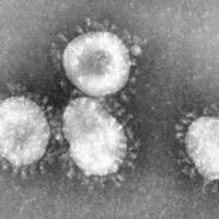 awas-virus-mers-mulai-menyebar