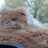 please-share-your-best-bokehlicious-pictures-here