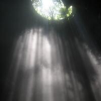 gua-jomblang-menyusuri-hutan-purba-dan-mencari-cahaya-di-perut-bumi