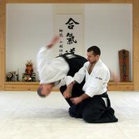 history-hot-thread-apakah-sih-aikido-sejarah-aikidojapanesse-martial-art