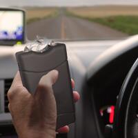 5-cara-membinasakan-nyamuk-dalam-mobil
