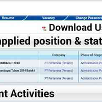 pertamina-bps--bpa-2013