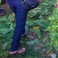 akibat-wlls-ice-cream-day-taman-bungkul-surabaya-rusak-bu-risma-ngamuk