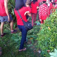 akibat-wlls-ice-cream-day-taman-bungkul-surabaya-rusak-bu-risma-ngamuk