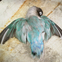 post-image