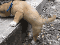 spectre-soccer-room-2013-2014------part-6