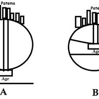 sakasama-no-patema-patema-inverted