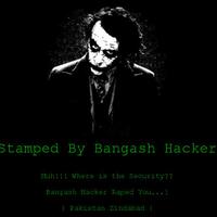 darurat-situs-situs-indonesia-diserang-hacker-pakistan