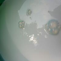 post-image