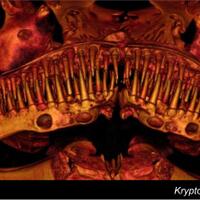 ikan-lele-alien-gigi-runcing-bikin-para-ilmuwan-bingung