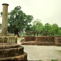 waisak-taman-lumbini-tempat-lahir-siddharta-gautama