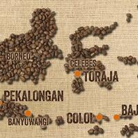 official-thread-film-dokumenter-biji-kopi-indonesia