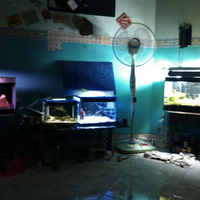 ayo-gan-silaken-posting-aquariumnya-di-sini