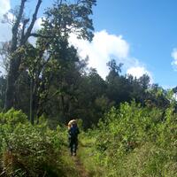 catper-menjelajah--surga--tersembunyi-di-gunung-argopuro-5-11-mei-2013-via-baderan