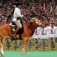 kh-hasyim-muzadi-larang-mahfud-md-jadi-tim-sukses-capres-cawapres