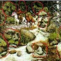 tes-kepekaan-pupil-mata