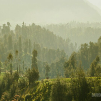 alun-alun-nikonian---part-12