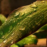 nongkrong-bareng-kamera-henpon