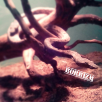 candoia-lover-mono-pohon--mono-tanah-ngumpul-di-sini-yuk---part-1