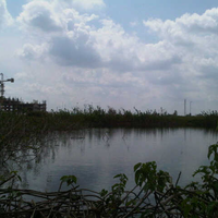 post-image