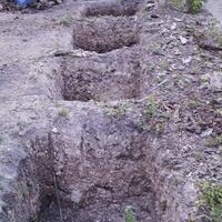 kampung-anggur----part-2