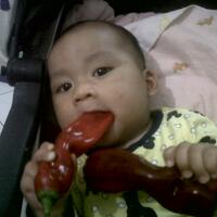 ayo-bertanam-cabe---hot--eksotis---part-1