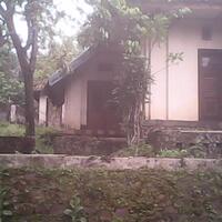 rumah-kosong-sejak-2006-minta-diterawang-puh-mau-dijual-soalnya