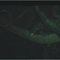 post-image