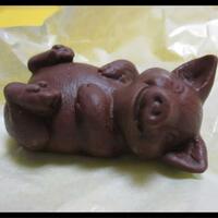 coklat-babi-100-pasti-dan-tidak-terbantahkan-lagi