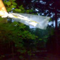 kampung-anggur----part-2