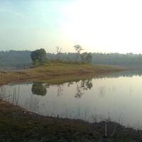 kfc-reg-solo---part-4