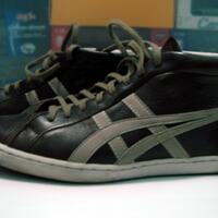 all-about-onitsuka-tiger