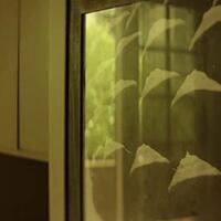 fovie-s-quiz-tebak-judul-film-dari-adegannya---part-10