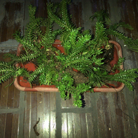 post-image