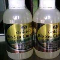 penawaran-jelly-gamat-gold-g-isi-500ml