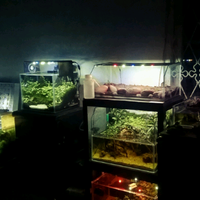 all-about-aquascape