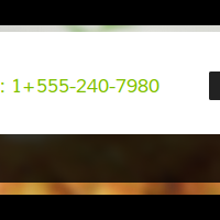 konsultasi-wordpress-wordpresskus