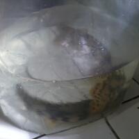 post-image