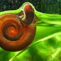 aquascape-for-everyone-learning-and-sharing---part-1