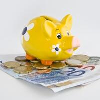 cepat-kaya-tanpa-jadi-babi-ngepet